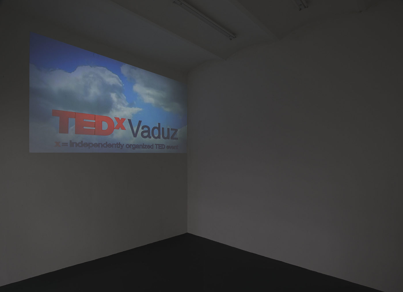 T293 - Simon Denny – ‘TEDxVaduz redux’ - 1
